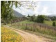 310 Memorial Drive, Eumundi QLD 4562