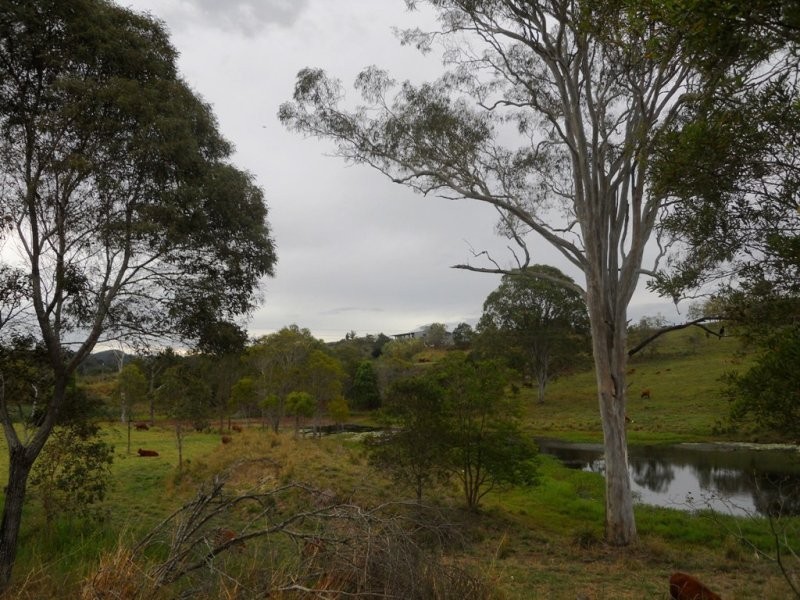 310 Memorial Drive, Eumundi QLD 4562