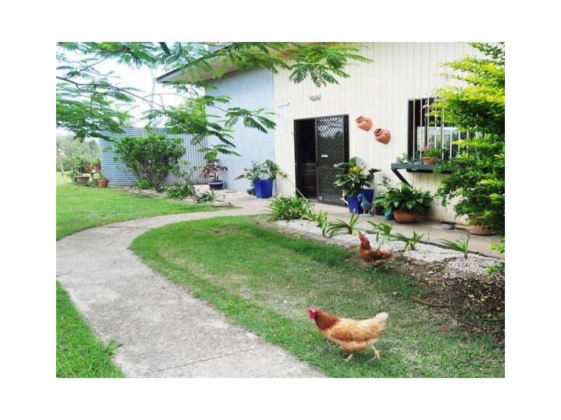 310 Memorial Drive, Eumundi QLD 4562