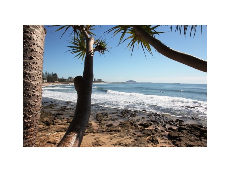 428/180 Alexandra Parade (Alex Beach Resort), Alexandra Headland QLD 4572