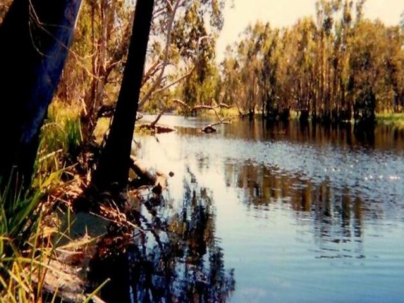 9 Kate Avenue, Rules Beach QLD 4674