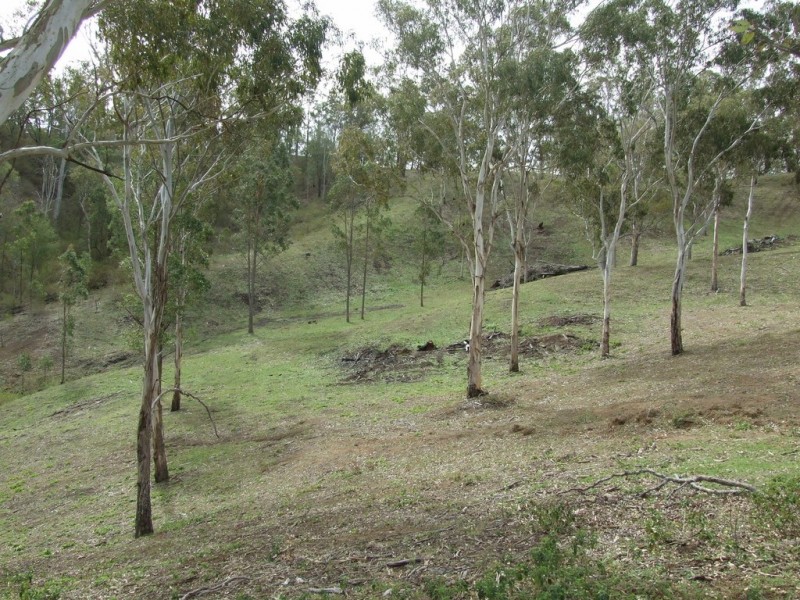 475 Palmtree Road, Ravensbourne QLD 4352