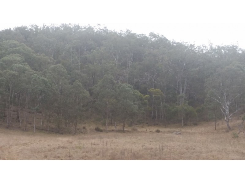 1508 Pierce Creek Road, Crows Nest QLD 4355