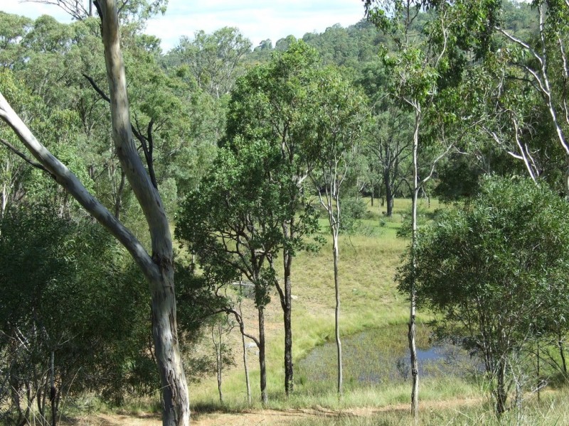 321 Cooyar-Rangemore Road, Cooyar QLD 4402