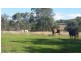 2212 Pierce Creek Road, Emu Creek QLD 4355
