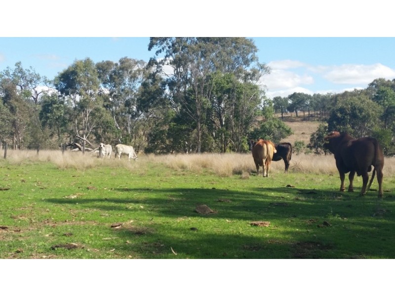 2212 Pierce Creek Road, Emu Creek QLD 4355
