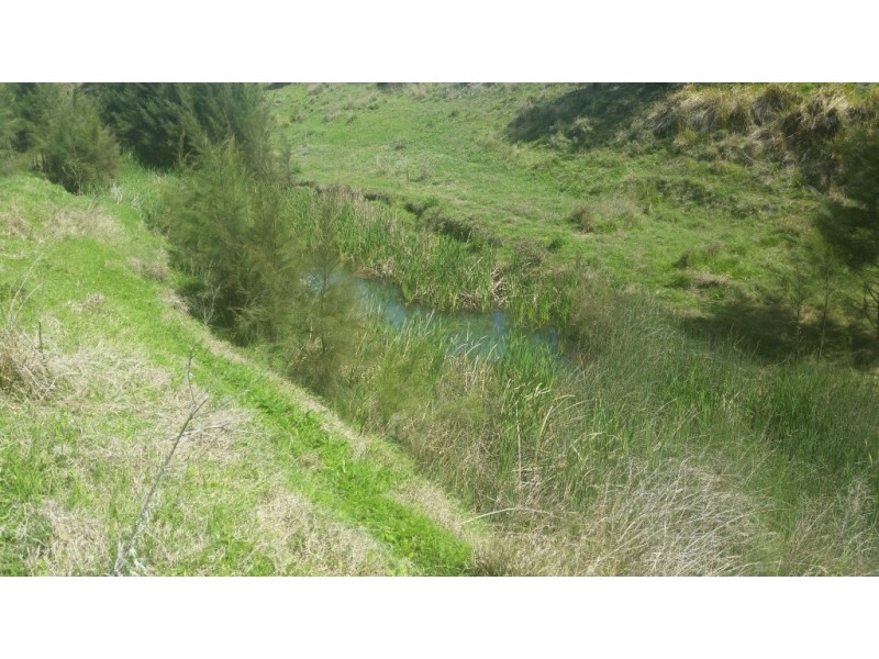L11 Pierce Creek Road, Emu Creek QLD 4355