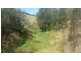 L11 Pierce Creek Road, Emu Creek QLD 4355