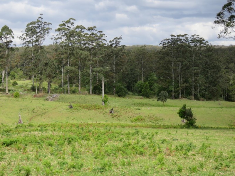 447 National Park Road, Ravensbourne QLD 4352