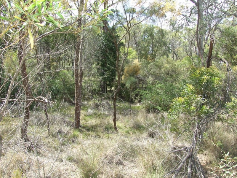 4 Pinnell Road, Crows Nest QLD 4355