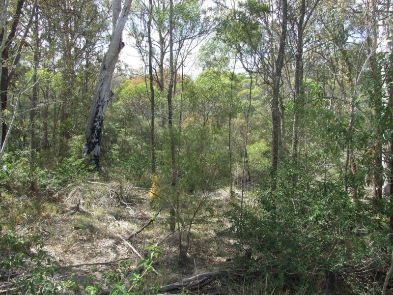 4 Pinnell Road, Crows Nest QLD 4355