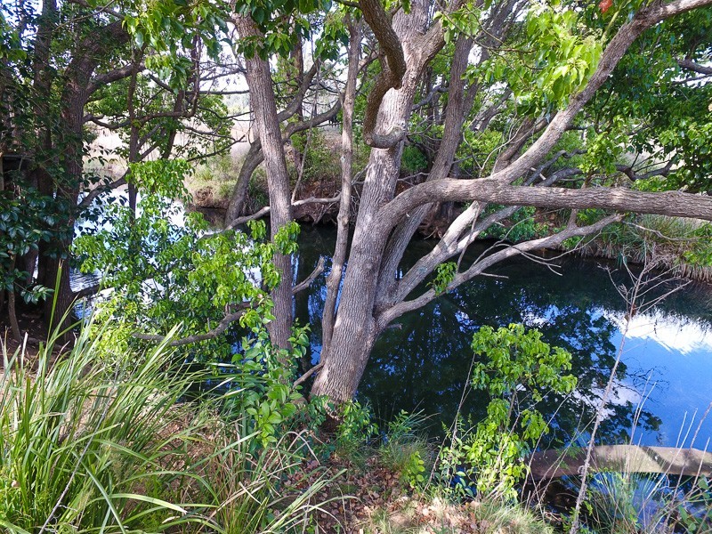 14 Hayden Street, Crows Nest QLD 4355