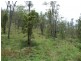 Lot 1 Sandy Mountain Road, Crows Nest QLD 4355