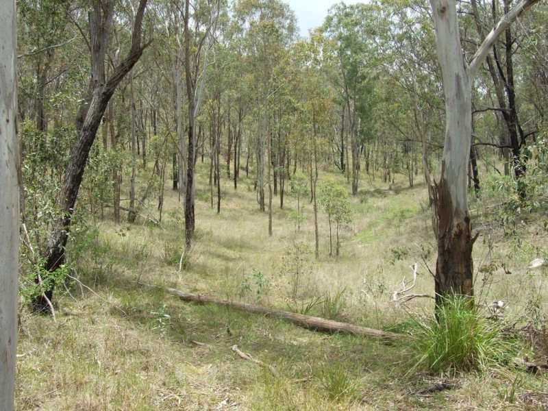 Lot 1 Sandy Mountain Road, Crows Nest QLD 4355