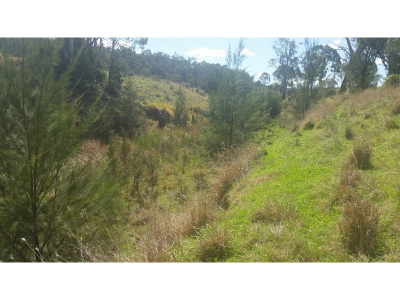 Lot 11 Pierce Creek Road, Crows Nest QLD 4355