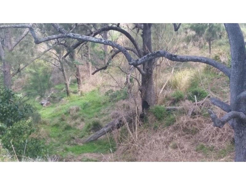 Lot 11 Pierce Creek Road, Crows Nest QLD 4355