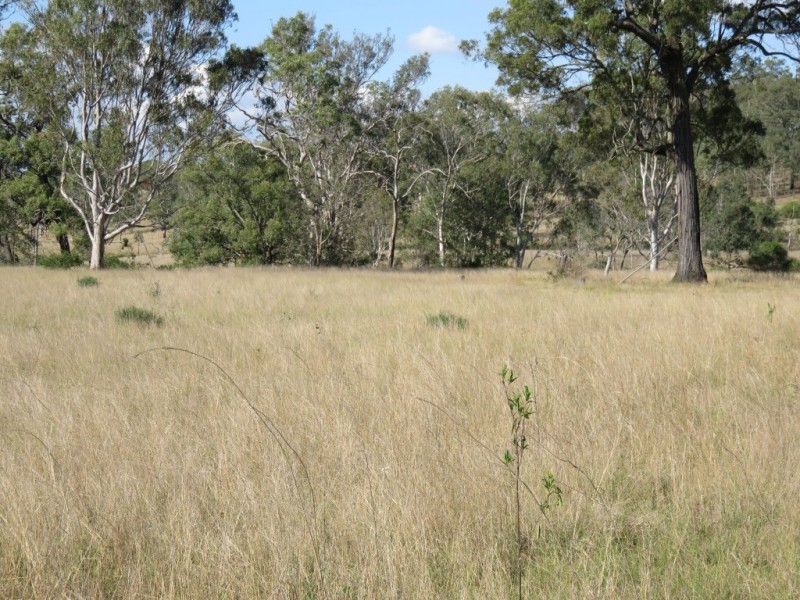 000 Brothers Road, Crows Nest QLD 4355