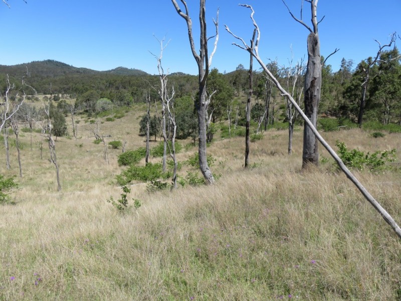 000 Brothers Road, Crows Nest QLD 4355