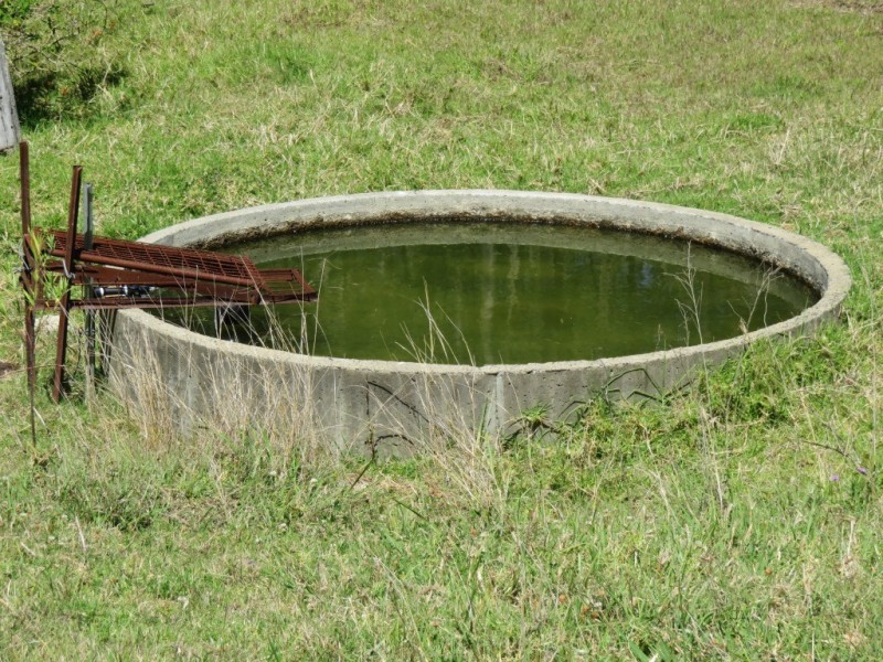 000 Brothers Road, Crows Nest QLD 4355