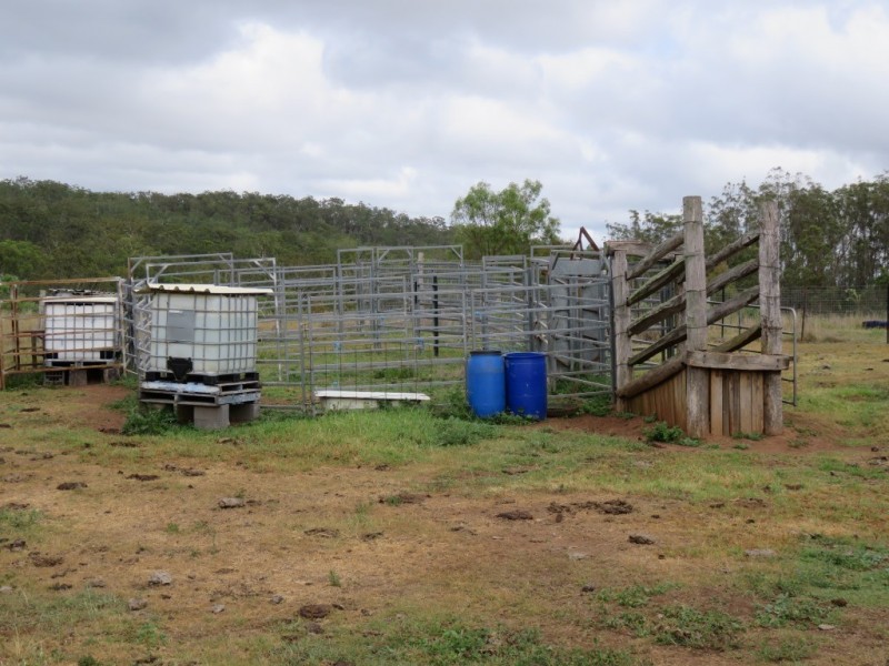 53 Fitch Road, Crows Nest QLD 4355