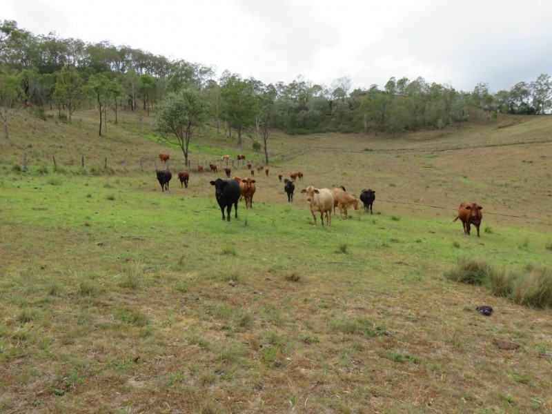 53 Fitch Road, Crows Nest QLD 4355