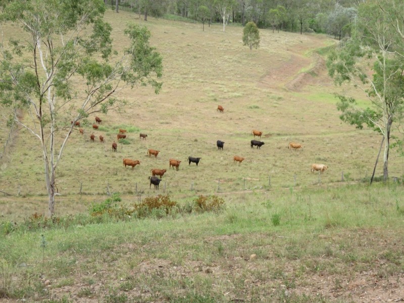 53 Fitch Road, Crows Nest QLD 4355