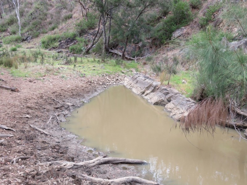 53 Fitch Road, Crows Nest QLD 4355