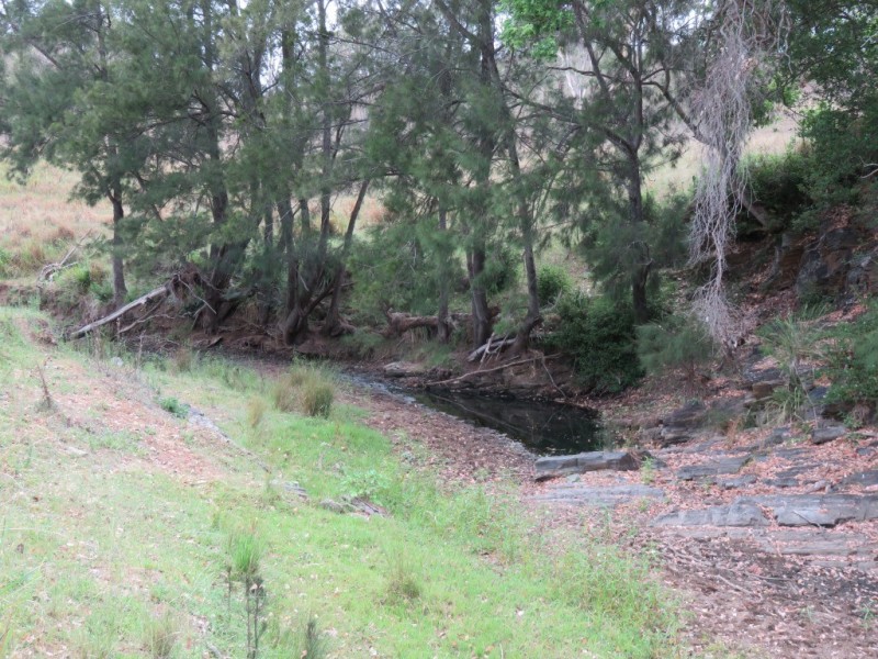 53 Fitch Road, Crows Nest QLD 4355