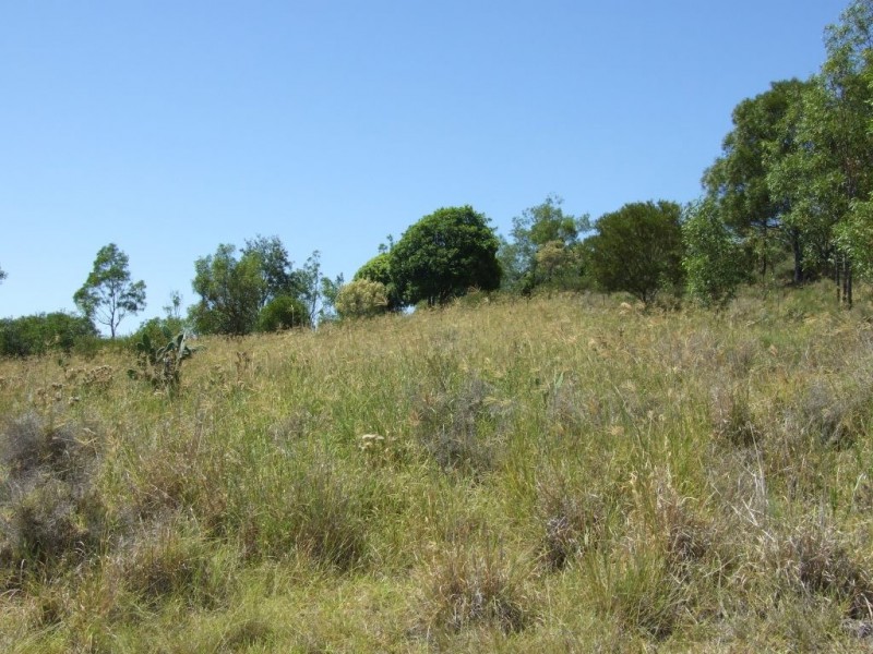 763 Pechey Maclagan Road, Groomsville QLD 4352