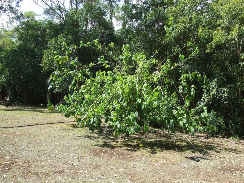 30 McErlean Road, Ravensbourne QLD 4352