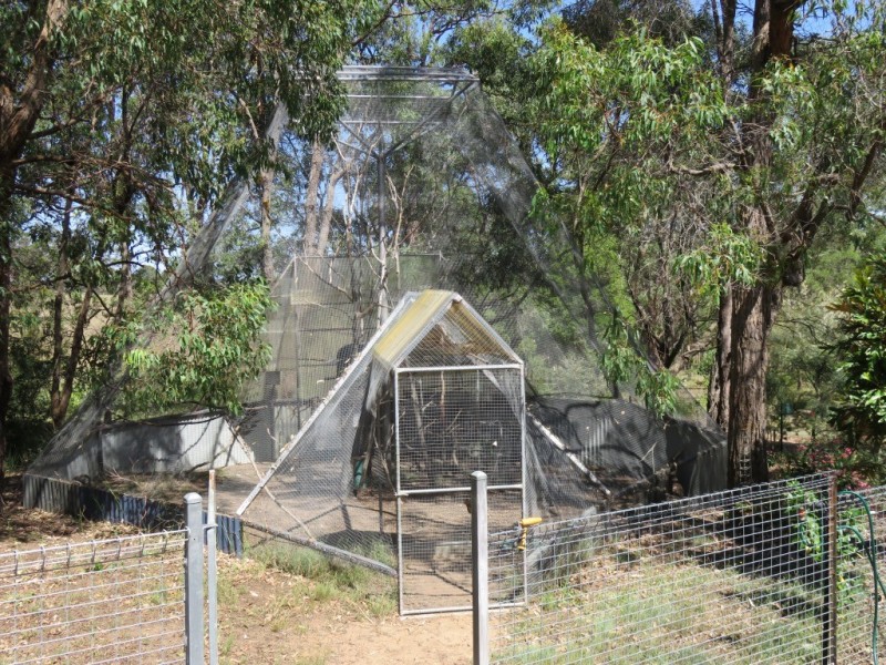 339 Perseverance Dam Road, Crows Nest QLD 4355
