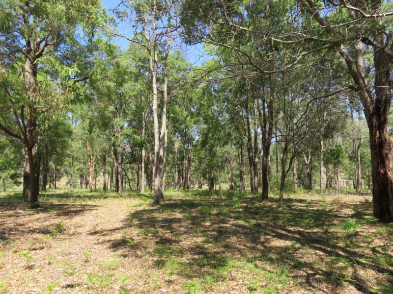 339 Perseverance Dam Road, Crows Nest QLD 4355