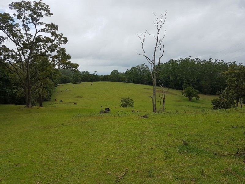 2973 Esk Hampton Road, Ravensbourne QLD 4352
