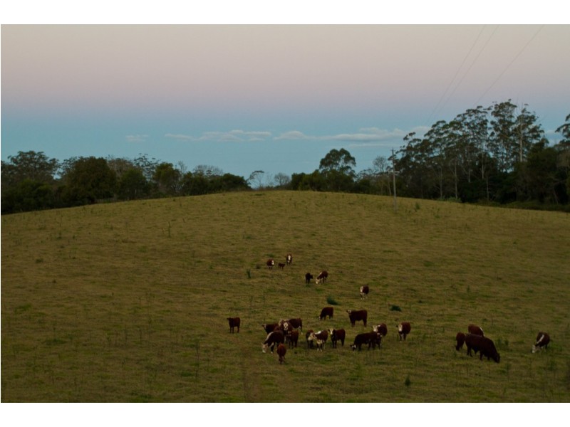 2973 Esk Hampton Road, Ravensbourne QLD 4352