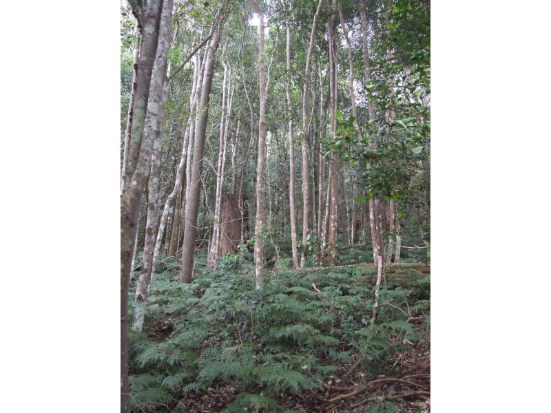 2973 Esk Hampton Road, Ravensbourne QLD 4352