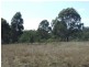 000 McCafferty Road, Hampton QLD 4352
