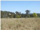 000 McCafferty Road, Hampton QLD 4352