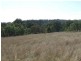 000 McCafferty Road, Hampton QLD 4352