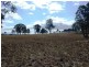 000 McCafferty Road, Hampton QLD 4352