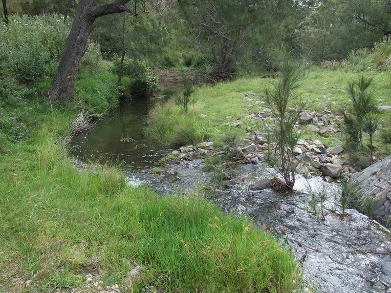 53 Fitch Road, Crows Nest QLD 4355