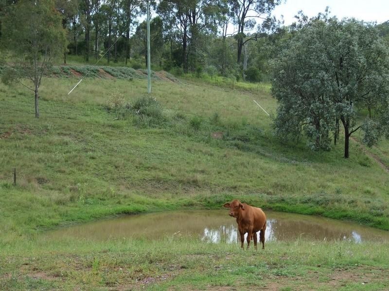 53 Fitch Road, Crows Nest QLD 4355