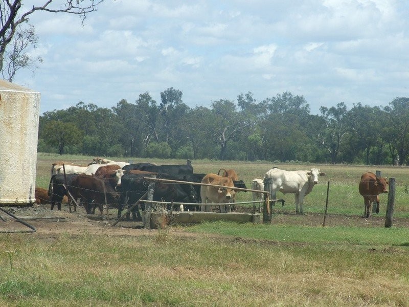 555 Brymaroo Irvingdale Road, Brymaroo QLD 4403