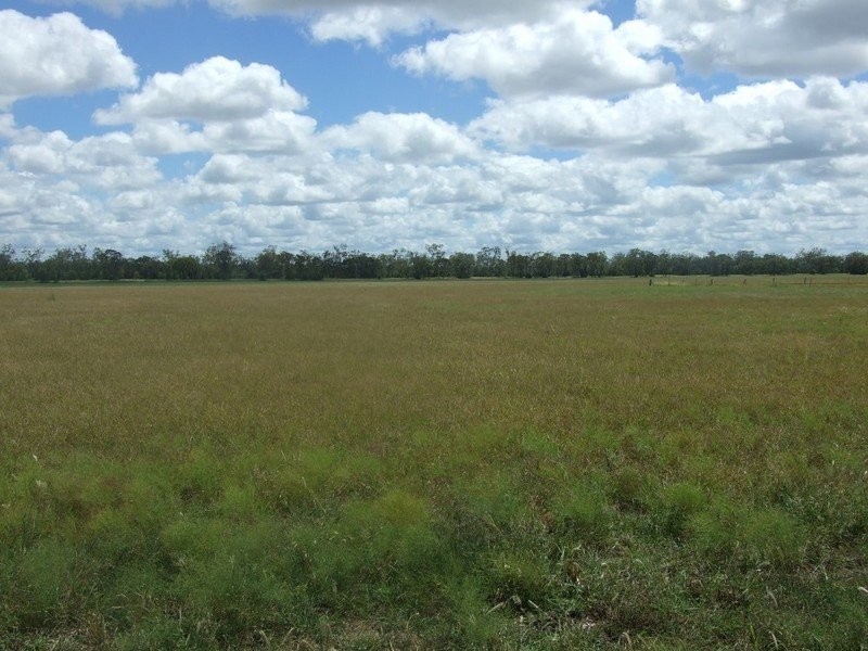 555 Brymaroo Irvingdale Road, Brymaroo QLD 4403