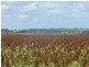 555 Brymaroo Irvingdale Road, Oakey QLD 4401