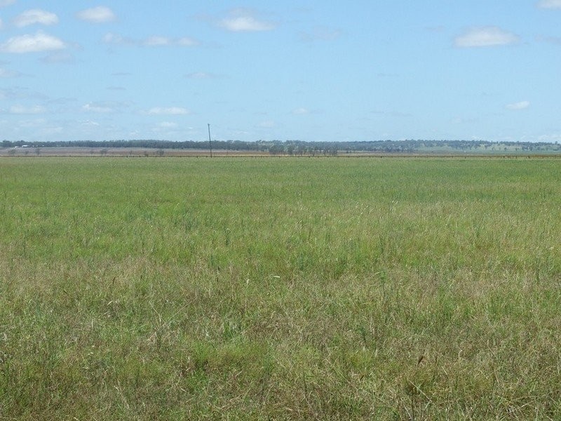 555 Brymaroo Irvingdale Road, Oakey QLD 4401