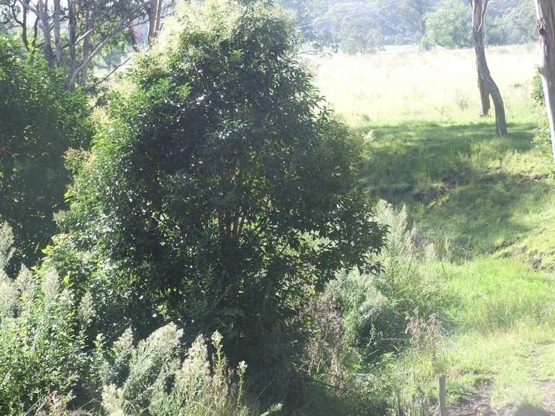 L2 Merritts Creek Road, Hampton QLD 4352