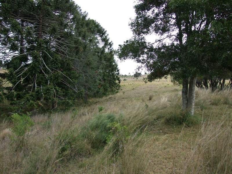 3580 New England Highway, Thornville QLD 4352