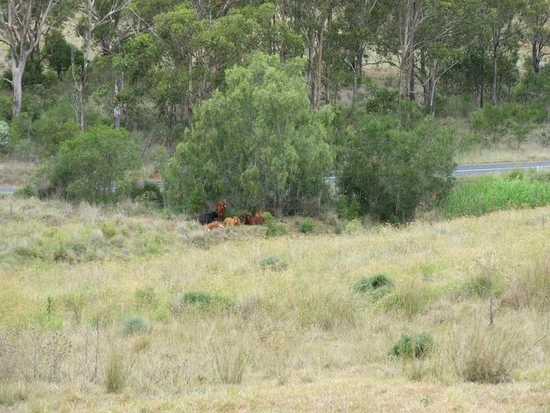 3580 New England Highway, Crows Nest QLD 4355