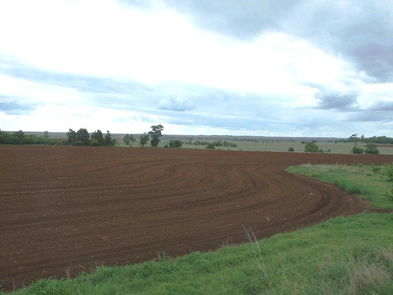 3596 Pechey Maclagan Road, Kulpi QLD 4352