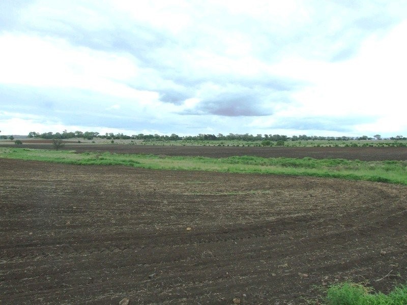 3596 Pechey Maclagan Road, Kulpi QLD 4352